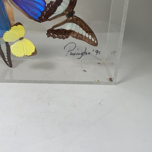 Purington 1991 Iridescent Butterflies Vintage, Signed